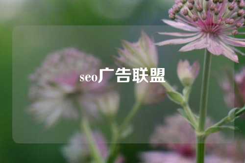 seo广告联盟