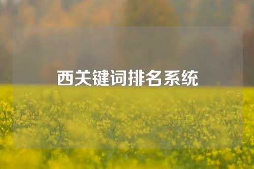 西关键词排名系统