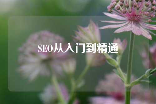 SEO从入门到精通