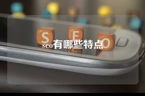 seo有哪些特点