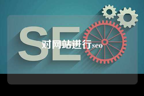 对网站进行seo