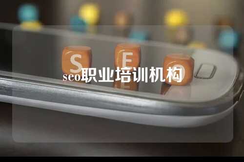 seo职业培训机构