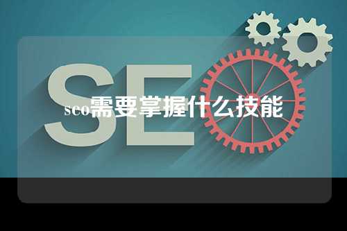 seo需要掌握什么技能