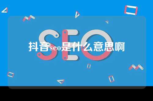 抖音seo是什么意思啊