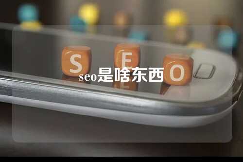 seo是啥东西