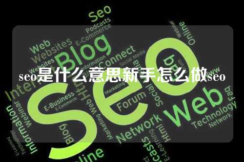 seo是什么意思新手怎么做seo