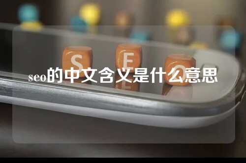 seo的中文含义是什么意思