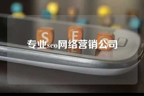 专业seo网络营销公司