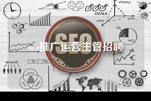 seo推广运营主管招聘