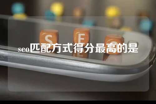 seo匹配方式得分最高的是