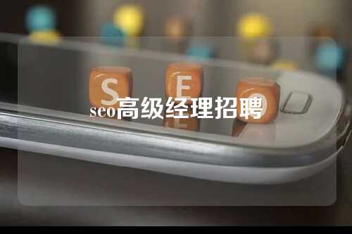 seo高级经理招聘