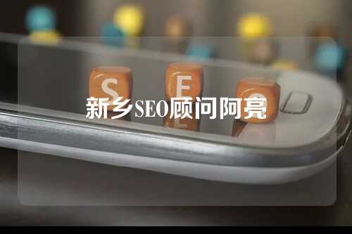 新乡SEO顾问阿亮