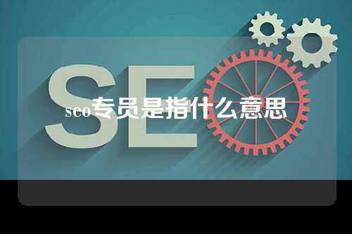 seo专员是指什么意思