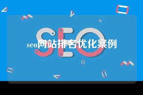 seo网站排名优化案例