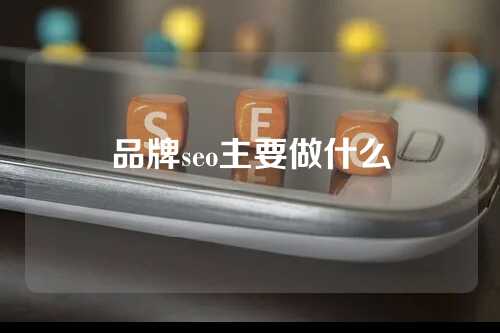 品牌seo主要做什么