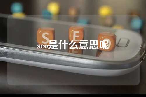 seo是什么意思呢