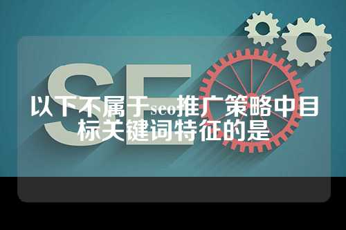 以下不属于seo推广策略中目标关键词特征的是