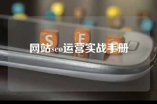 网站seo运营实战手册