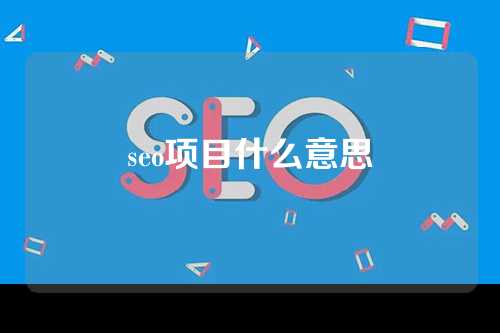 seo项目什么意思