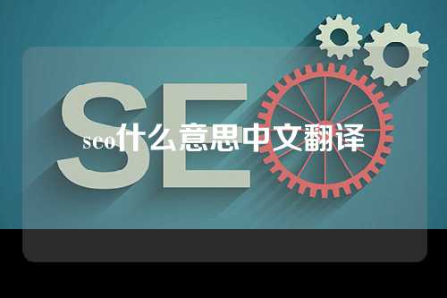 seo什么意思中文翻译