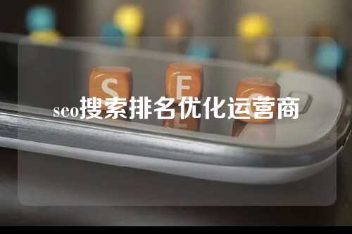 seo搜索排名优化运营商