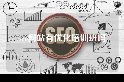 seo网站有优化培训班吗