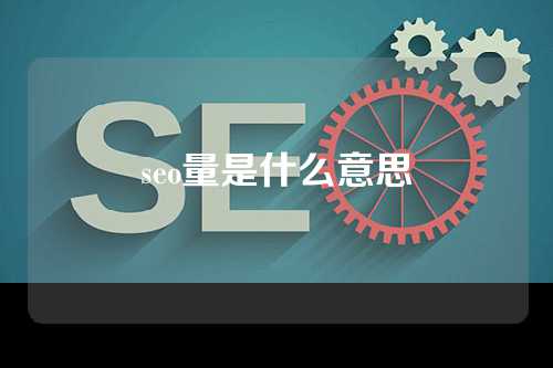 seo量是什么意思