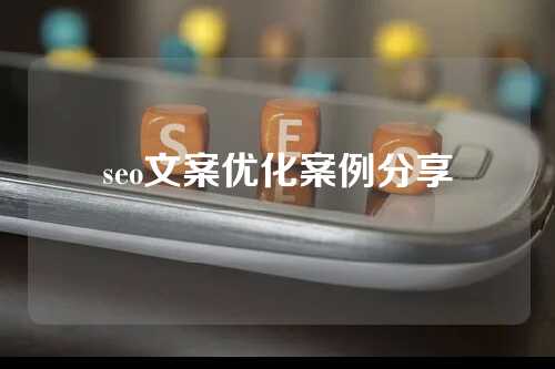 seo文案优化案例分享