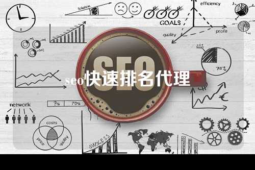 seo快速排名代理