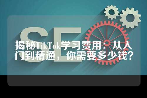 揭秘TikTok学习费用：从入门到精通，你需要多少钱？