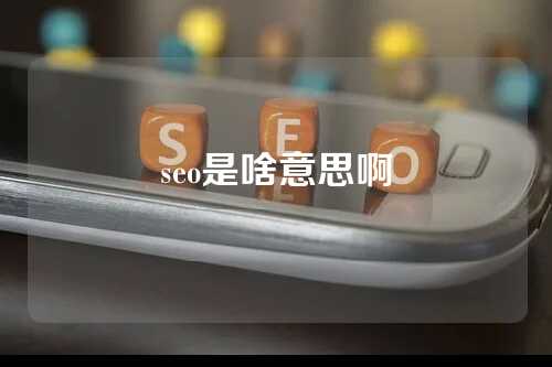 seo是啥意思啊