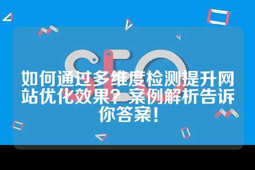 如何通过多维度检测提升网站优化效果？案例解析告诉你答案！