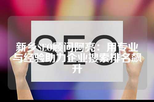 新乡SEO顾问阿亮：用专业与经验助力企业搜索排名飙升