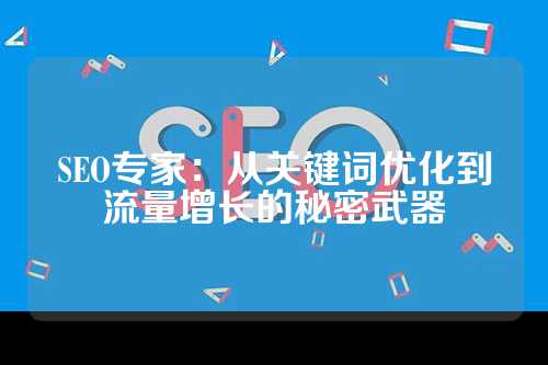 SEO专家：从关键词优化到流量增长的秘密武器