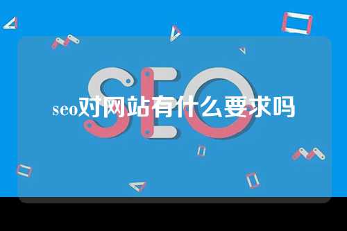 seo对网站有什么要求吗