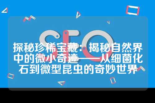 探秘珍稀宝藏：揭秘自然界中的微小奇迹——从细菌化石到微型昆虫的奇妙世界