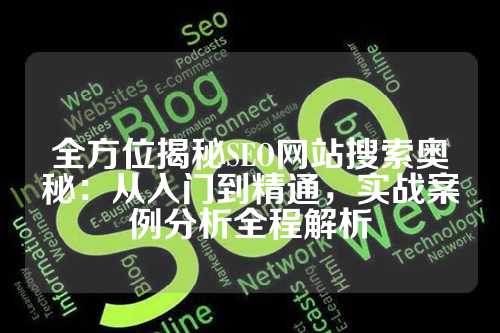 全方位揭秘SEO网站搜索奥秘：从入门到精通，实战案例分析全程解析