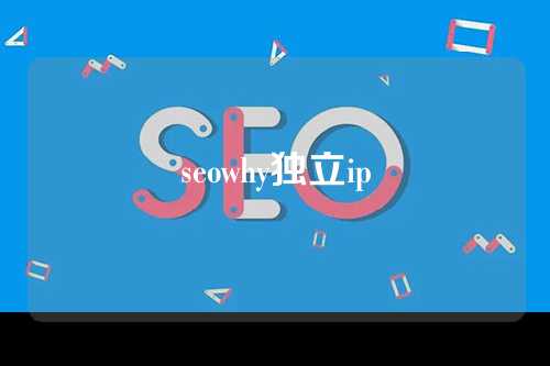 seowhy独立ip